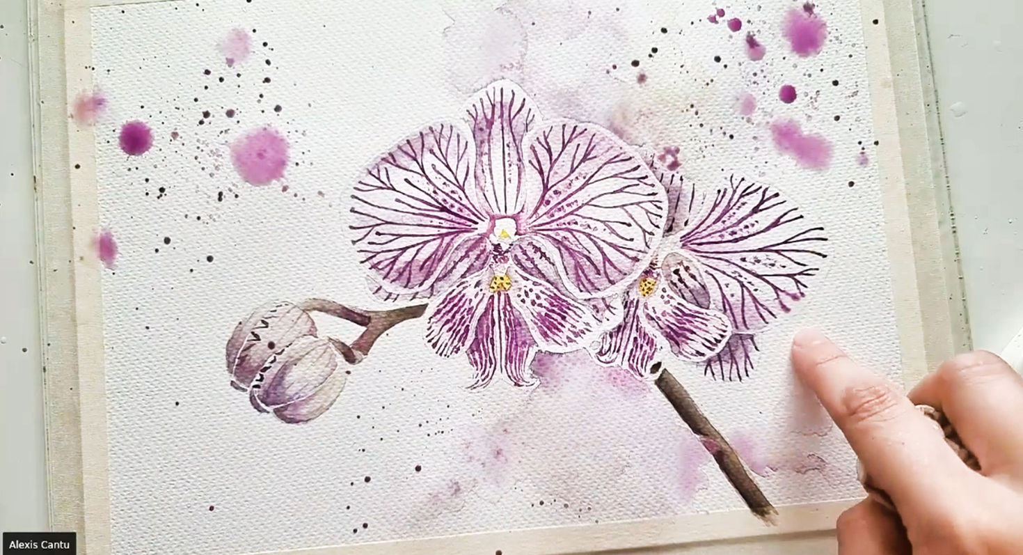 Orchid | Online Workshop